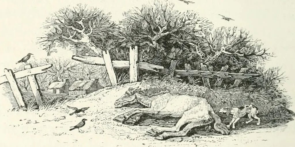 An illustration from The Bewick collector. A descriptive catalogue of the works of Thomas and John Bewick; including cuts, in various states, for books and pamphlets, private gentlemen, public companies, exhibitions, races, newspapers, shop cards, invoice heads, bar bills, coal certificates, broadsides, and other miscellaneous purposes, and wood blocks. With an appendix of portraits, autographs, works of pupils, &c. &c. The whole described from the originals contained in the largest and most perfect collection ever formed, and illustrated with a hundred and twelve cuts, 1866, leaf 507