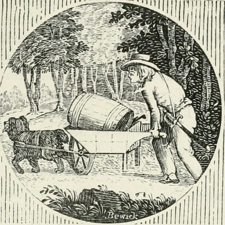 An illustration from The Bewick collector. A descriptive catalogue of the works of Thomas and John Bewick; including cuts, in various states, for books and pamphlets, private gentlemen, public companies, exhibitions, races, newspapers, shop cards, invoice heads, bar bills, coal certificates, broadsides, and other miscellaneous purposes, and wood blocks. With an appendix of portraits, autographs, works of pupils, &c. &c. The whole described from the originals contained in the largest and most perfect collection ever formed, and illustrated with a hundred and twelve cuts, 1866, leaf 514