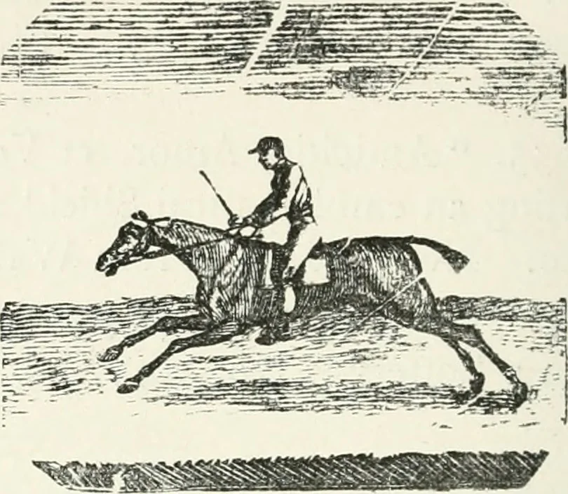 An illustration from The Bewick collector. A descriptive catalogue of the works of Thomas and John Bewick; including cuts, in various states, for books and pamphlets, private gentlemen, public companies, exhibitions, races, newspapers, shop cards, invoice heads, bar bills, coal certificates, broadsides, and other miscellaneous purposes, and wood blocks. With an appendix of portraits, autographs, works of pupils, &c. &c. The whole described from the originals contained in the largest and most perfect collection ever formed, and illustrated with a hundred and twelve cuts, 1866, leaf 523