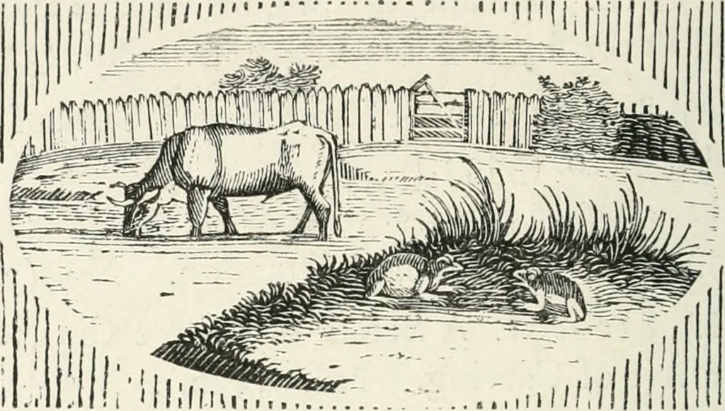 An illustration from The Bewick collector. A descriptive catalogue of the works of Thomas and John Bewick; including cuts, in various states, for books and pamphlets, private gentlemen, public companies, exhibitions, races, newspapers, shop cards, invoice heads, bar bills, coal certificates, broadsides, and other miscellaneous purposes, and wood blocks. With an appendix of portraits, autographs, works of pupils, &c. &c. The whole described from the originals contained in the largest and most perfect collection ever formed, and illustrated with a hundred and twelve cuts, 1866, leaf 531