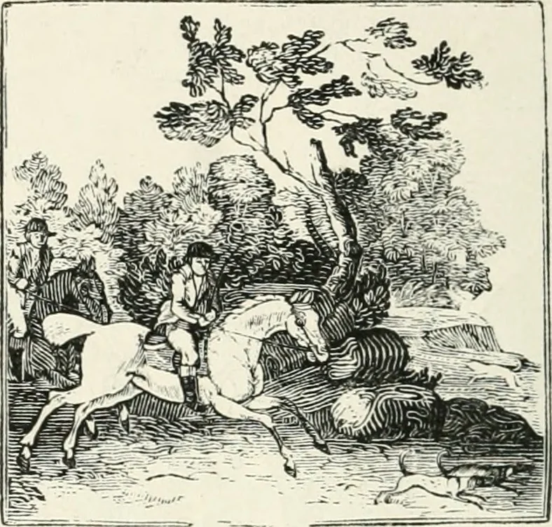 An illustration from The Bewick collector. A descriptive catalogue of the works of Thomas and John Bewick; including cuts, in various states, for books and pamphlets, private gentlemen, public companies, exhibitions, races, newspapers, shop cards, invoice heads, bar bills, coal certificates, broadsides, and other miscellaneous purposes, and wood blocks. With an appendix of portraits, autographs, works of pupils, &c. &c. The whole described from the originals contained in the largest and most perfect collection ever formed, and illustrated with a hundred and twelve cuts, 1866, leaf 533