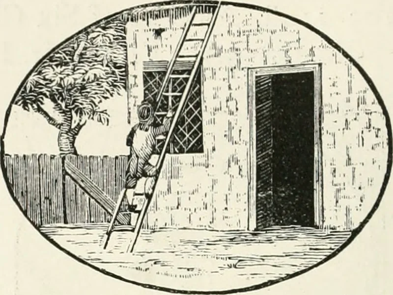 An illustration from The Bewick collector. A descriptive catalogue of the works of Thomas and John Bewick; including cuts, in various states, for books and pamphlets, private gentlemen, public companies, exhibitions, races, newspapers, shop cards, invoice heads, bar bills, coal certificates, broadsides, and other miscellaneous purposes, and wood blocks. With an appendix of portraits, autographs, works of pupils, &c. &c. The whole described from the originals contained in the largest and most perfect collection ever formed, and illustrated with a hundred and twelve cuts, 1866, leaf 537