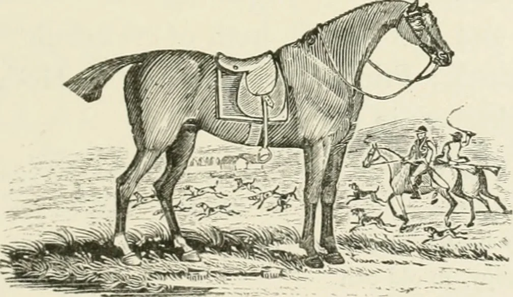 An illustration from The Bewick collector : a supplement to a descriptive catalogue of the works of Thomas and John Bewick : consisting of additions to the various divisions of cuts, wood blocks, etc. ..., 1868, leaf 104