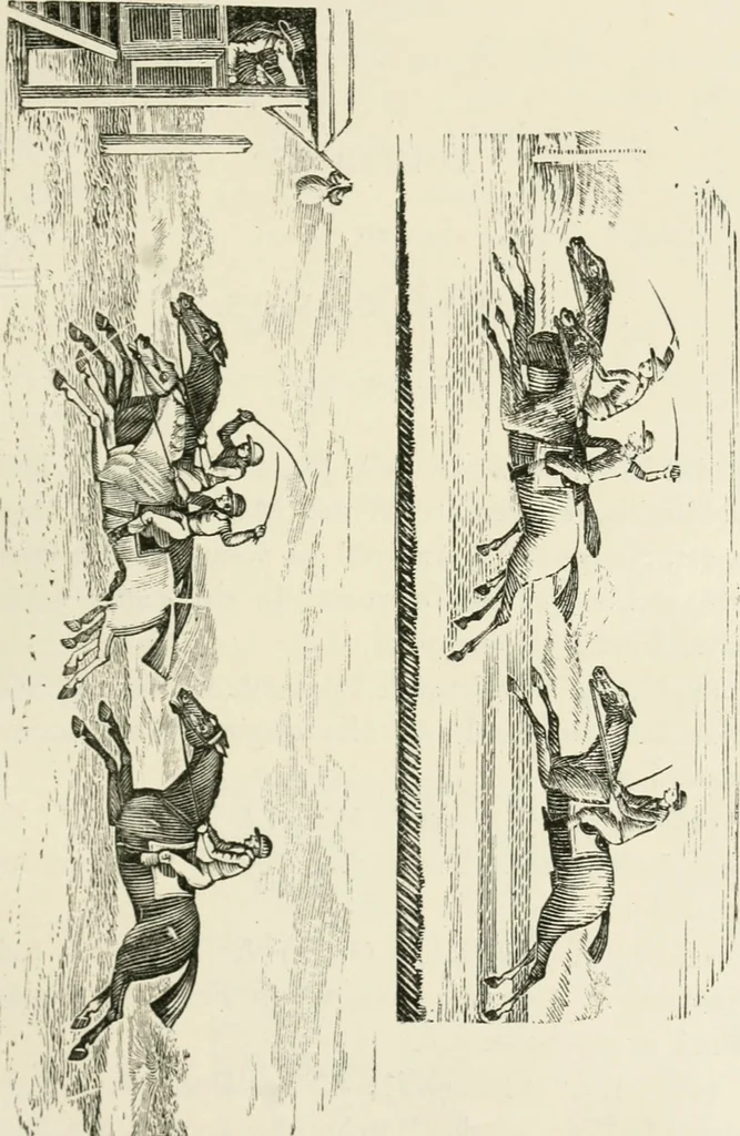 An illustration from The Bewick collector : a supplement to a descriptive catalogue of the works of Thomas and John Bewick : consisting of additions to the various divisions of cuts, wood blocks, etc. ..., 1868, leaf 208