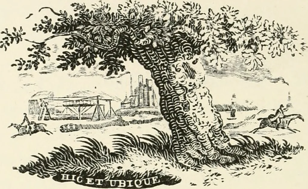 An illustration from The Bewick collector : a supplement to a descriptive catalogue of the works of Thomas and John Bewick : consisting of additions to the various divisions of cuts, wood blocks, etc. ..., 1868, leaf 213