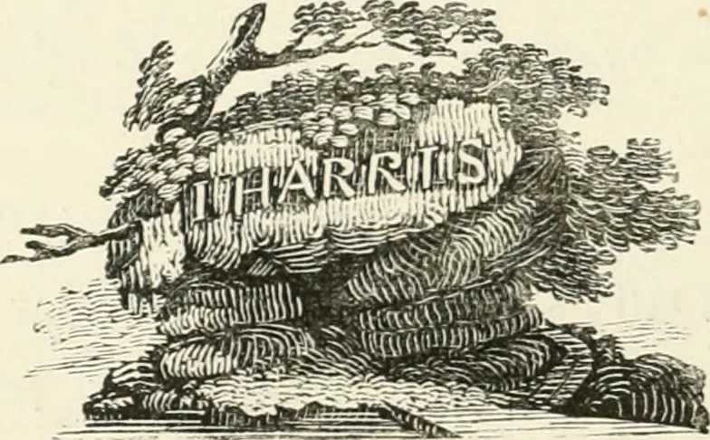 An illustration from The Bewick collector : a supplement to a descriptive catalogue of the works of Thomas and John Bewick : consisting of additions to the various divisions of cuts, wood blocks, etc. ..., 1868, leaf 215