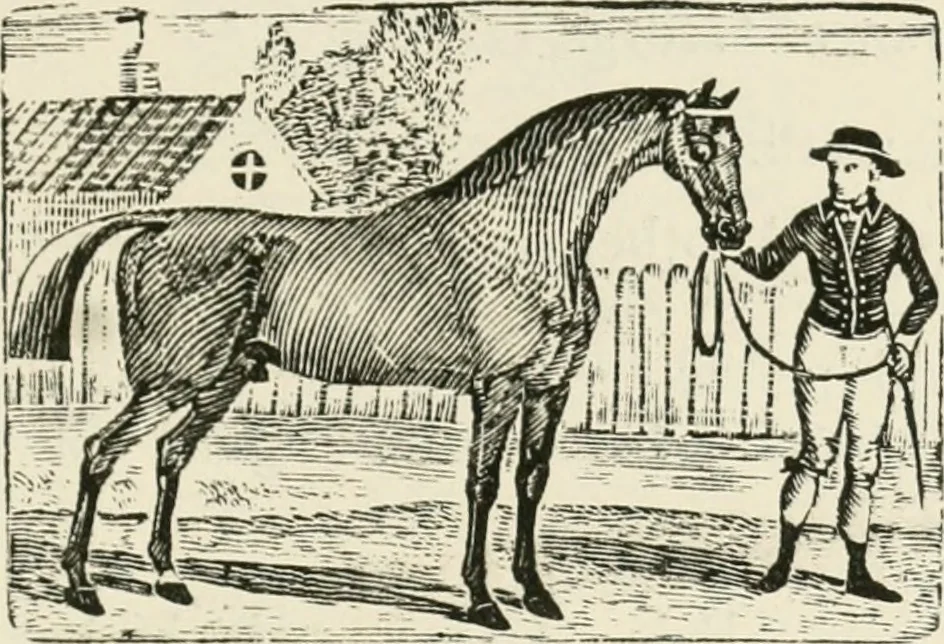 An illustration from The Bewick collector : a supplement to a descriptive catalogue of the works of Thomas and John Bewick : consisting of additions to the various divisions of cuts, wood blocks, etc. ..., 1868, leaf 230