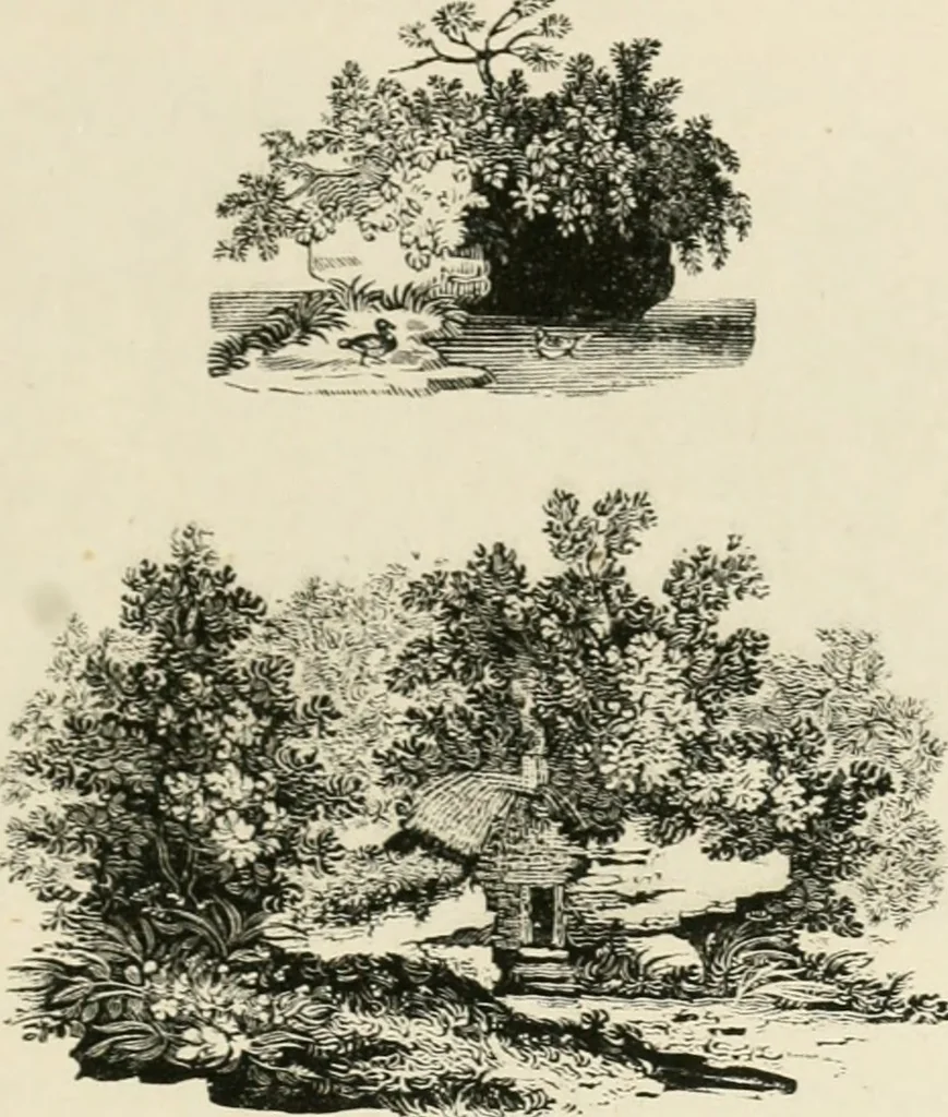 An illustration from The Bewick collector : a supplement to a descriptive catalogue of the works of Thomas and John Bewick : consisting of additions to the various divisions of cuts, wood blocks, etc. ..., 1868, leaf 280