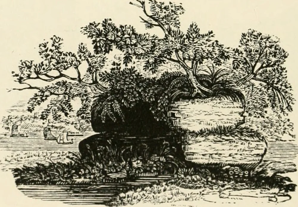 An illustration from The Bewick collector : a supplement to a descriptive catalogue of the works of Thomas and John Bewick : consisting of additions to the various divisions of cuts, wood blocks, etc. ..., 1868, leaf 283