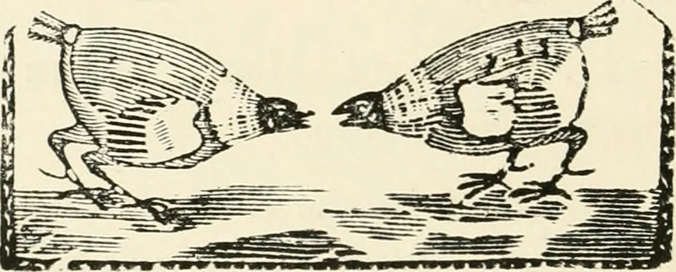 An illustration from The Bewick collector : a supplement to a descriptive catalogue of the works of Thomas and John Bewick : consisting of additions to the various divisions of cuts, wood blocks, etc. ..., 1868, leaf 287