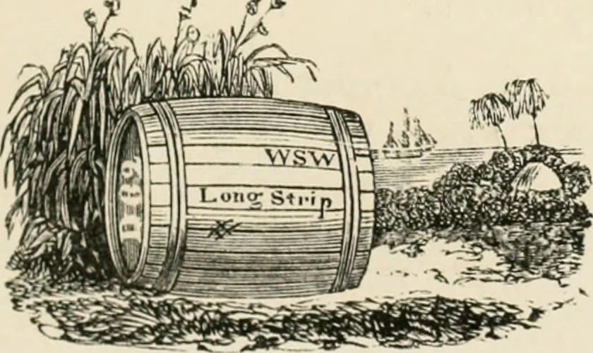 An illustration from The Bewick collector : a supplement to a descriptive catalogue of the works of Thomas and John Bewick : consisting of additions to the various divisions of cuts, wood blocks, etc. ..., 1868, leaf 296
