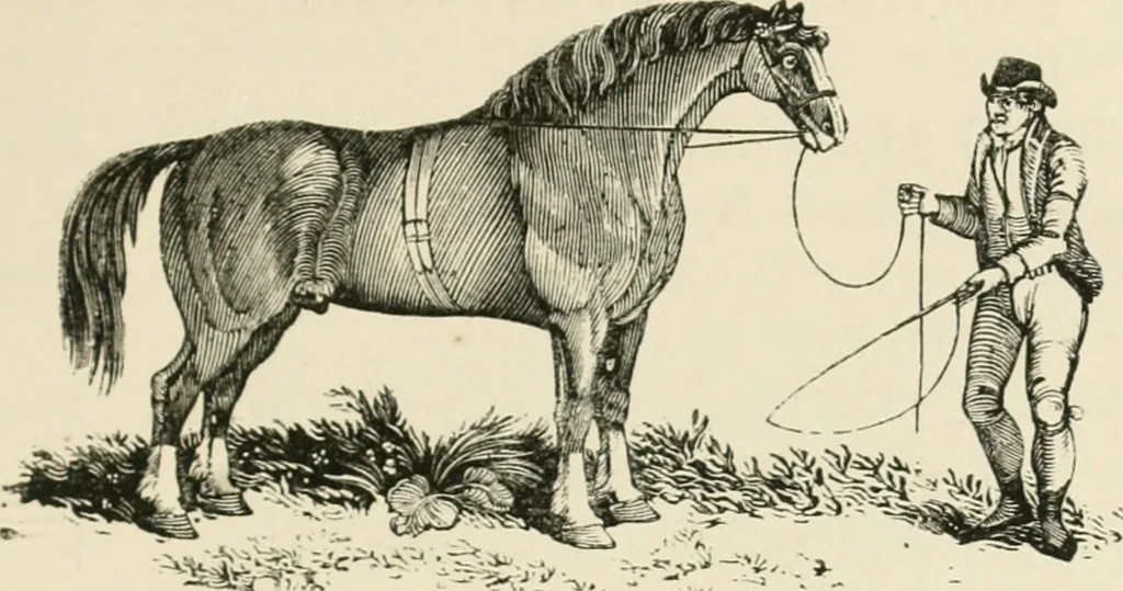 An illustration from The Bewick collector : a supplement to a descriptive catalogue of the works of Thomas and John Bewick : consisting of additions to the various divisions of cuts, wood blocks, etc. ..., 1868, leaf 312