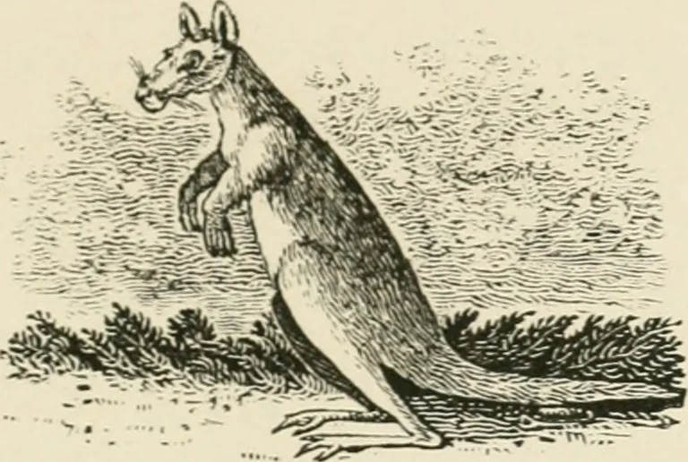 An illustration from The Bewick collector : a supplement to a descriptive catalogue of the works of Thomas and John Bewick : consisting of additions to the various divisions of cuts, wood blocks, etc. ..., 1868, leaf 316