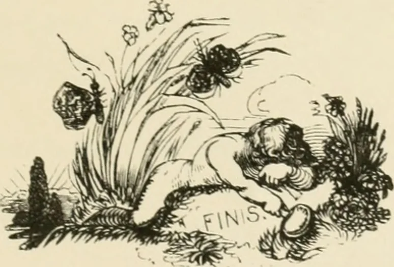 An illustration from The Bewick collector : a supplement to a descriptive catalogue of the works of Thomas and John Bewick : consisting of additions to the various divisions of cuts, wood blocks, etc. ..., 1868, leaf 388