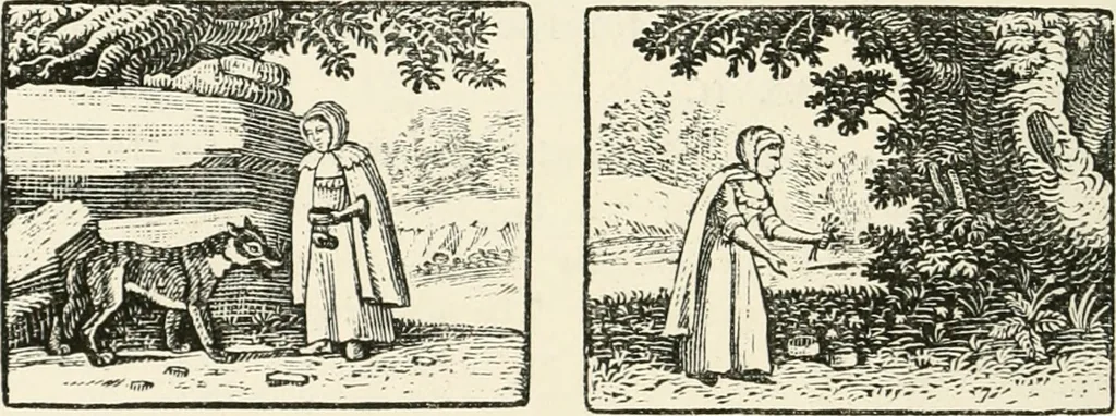 An illustration from The Bewick collector : a supplement to a descriptive catalogue of the works of Thomas and John Bewick : consisting of additions to the various divisions of cuts, wood blocks, etc. ..., 1868, leaf 41