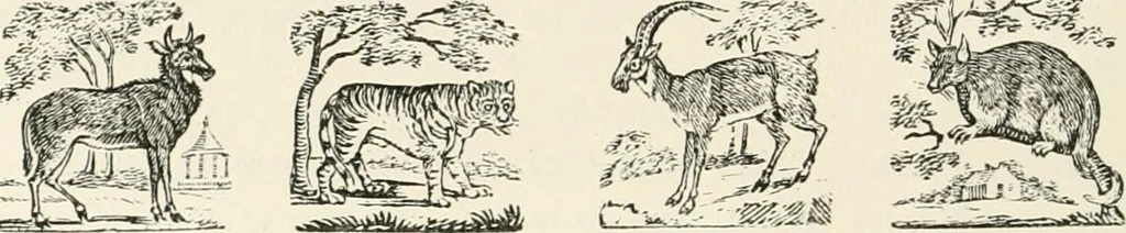 An illustration from The Bewick collector : a supplement to a descriptive catalogue of the works of Thomas and John Bewick : consisting of additions to the various divisions of cuts, wood blocks, etc. ..., 1868, leaf 63