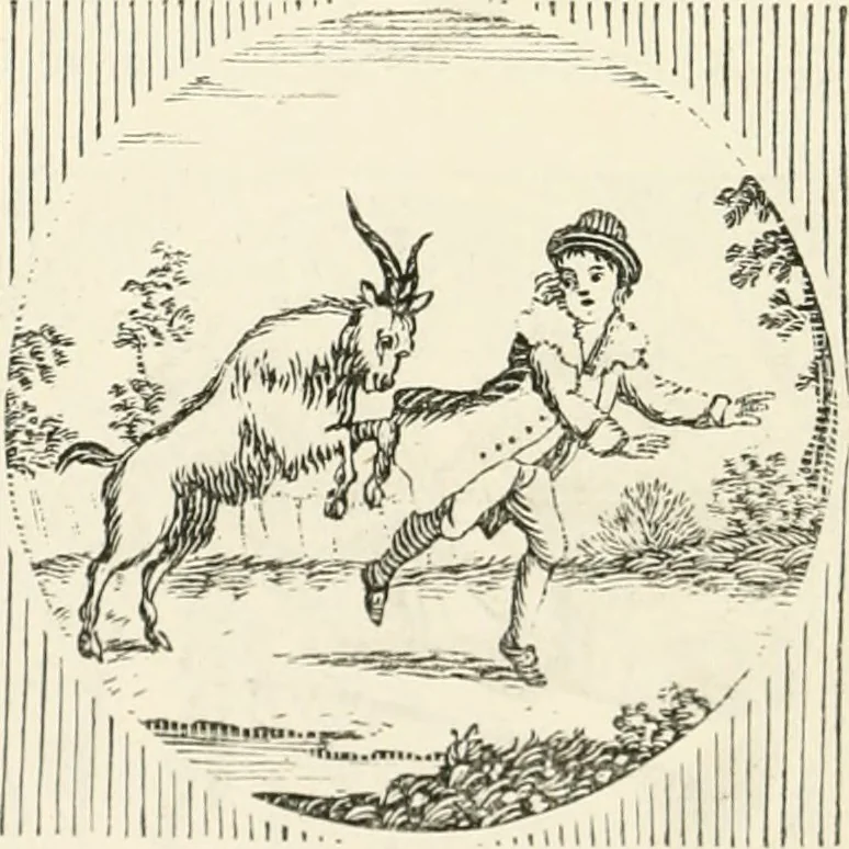 An illustration from The Bewick collector : a supplement to a descriptive catalogue of the works of Thomas and John Bewick : consisting of additions to the various divisions of cuts, wood blocks, etc. ..., 1868, leaf 65