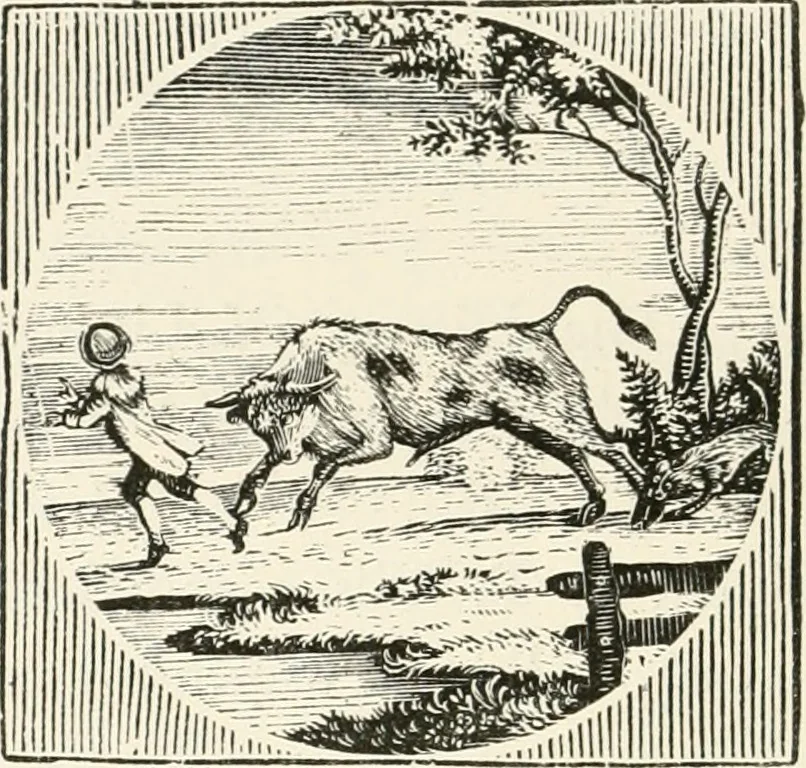 An illustration from The Bewick collector : a supplement to a descriptive catalogue of the works of Thomas and John Bewick : consisting of additions to the various divisions of cuts, wood blocks, etc. ..., 1868, leaf 87