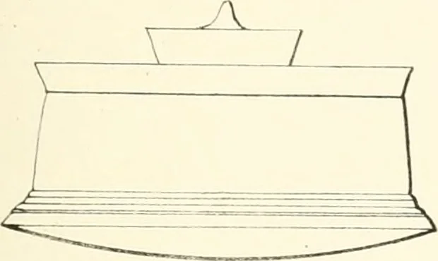 An illustration from The Bhilsa topes; or, Buddhist monuments of central India:, 1854, leaf 460