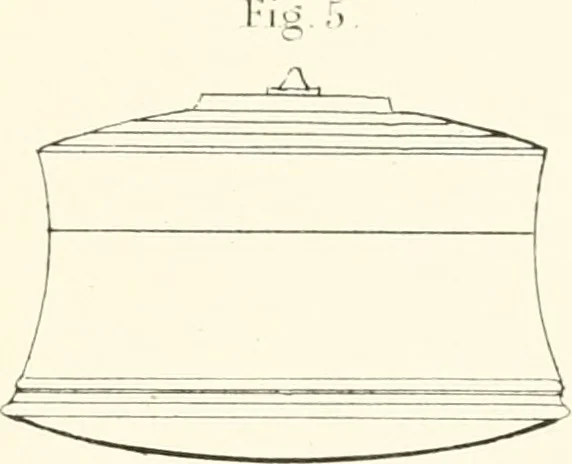 An illustration from The Bhilsa topes; or, Buddhist monuments of central India:, 1854, leaf 460