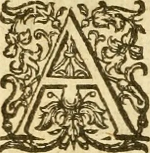 An illustration from The Bible, 1606, leaf 399