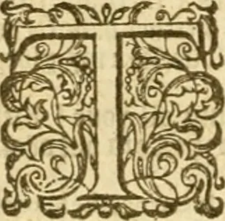 An illustration from The Bible, 1606, leaf 649