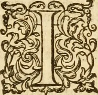 An illustration from The Bible, 1606, leaf 788