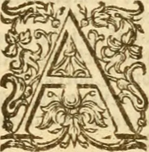 An illustration from The Bible, 1606, leaf 802