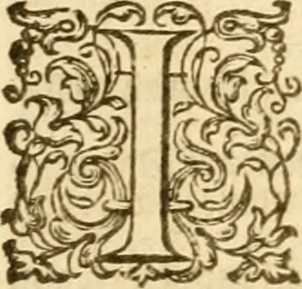 An illustration from The Bible, 1606, leaf 842