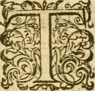 An illustration from The Bible, 1606, leaf 853