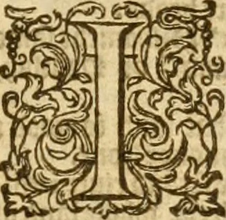 An illustration from The Bible, 1606, leaf 86
