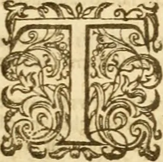 An illustration from The Bible, 1606, leaf 954