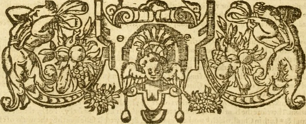 An illustration from The Bible, 1606, leaf 955