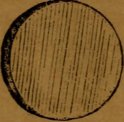 An illustration from Bible astronomy; or, The little book on the mysteries and wonder of the rise and fall of Babylon, 1853, leaf 154