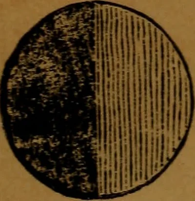 An illustration from Bible astronomy; or, The little book on the mysteries and wonder of the rise and fall of Babylon, 1853, leaf 154