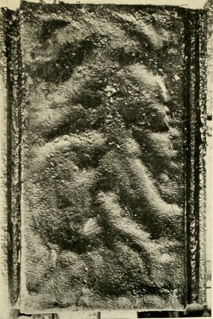 An illustration from The Bible in iron:, 1914, leaf 104