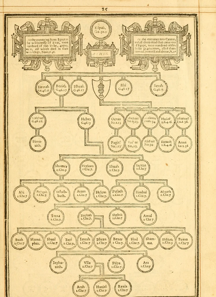 An illustration from The Bible : that is the Holy Scriptures conteined in the Old and New Testament ; translated according to the Ebrew and Greeke, and conferred with the best translations in divers languages .., 1615, leaf 30