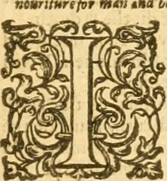 An illustration from The Bible : that is the Holy Scriptures conteined in the Old and New Testament ; translated according to the Ebrew and Greeke, and conferred with the best translations in divers languages .., 1615, leaf 52