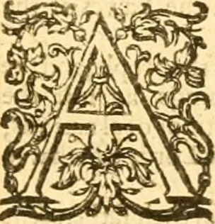 An illustration from The Bible : that is the Holy Scriptures conteined in the Old and New Testament ; translated according to the Ebrew and Greeke, and conferred with the best translations in divers languages .., 1615, leaf 680