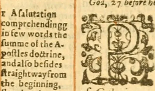 An illustration from The Bible : that is the Holy Scriptures conteined in the Old and New Testament ; translated according to the Ebrew and Greeke, and conferred with the best translations in divers languages .., 1615, leaf 980