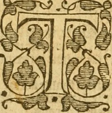 An illustration from The Bible : that is, the Holy scriptures contained in the Old and New Testament, 1579, leaf 167