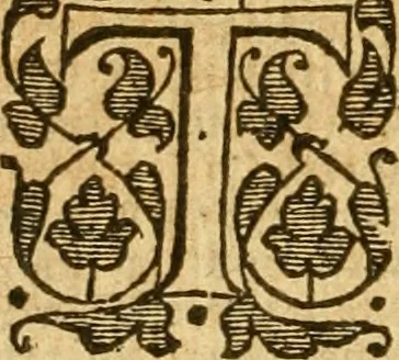 An illustration from The Bible : that is, the Holy scriptures contained in the Old and New Testament, 1579, leaf 205