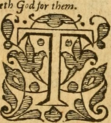 An illustration from The Bible : that is, the Holy scriptures contained in the Old and New Testament, 1579, leaf 455
