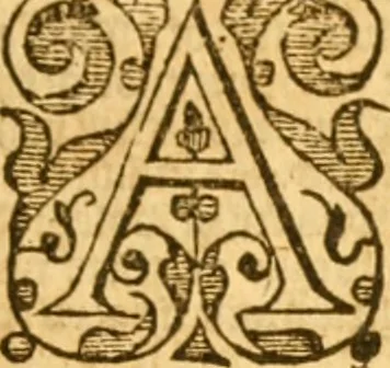 An illustration from The Bible : that is, the Holy scriptures contained in the Old and New Testament, 1579, leaf 600