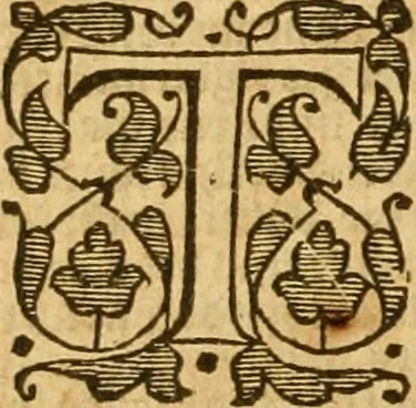 An illustration from The Bible : that is, the Holy scriptures contained in the Old and New Testament, 1579, leaf 789