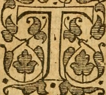 An illustration from The Bible : that is, the Holy scriptures contained in the Old and New Testament, 1579, leaf 807
