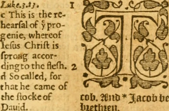 An illustration from The Bible : that is, the Holy scriptures contained in the Old and New Testament, 1579, leaf 990