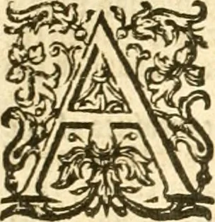 An illustration from The Bible: translated according to the Ebrew and Greeke, and conferred with the best translation in divers languages. With most profitable annotations upon all the hard places, and other things of great importance, as may appeare in the epistle the reader. And also a most profitable concordance for the ready finding out of anything in the same conteined, 1611, leaf 307