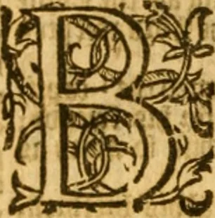 An illustration from The Bible : translated according to the Ebrew and Greeke, and conferred with the best translations in divers languages .., 1594, leaf 423