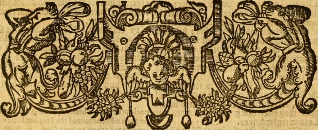 An illustration from The Bible : translated according to the Ebrew and Greeke, and conferred with the best translations in divers languages .., 1594, leaf 713